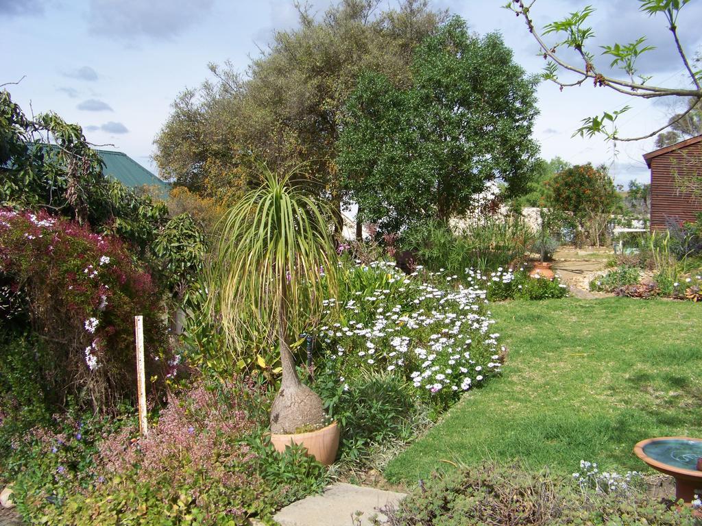 Lemontree Cottage Heidelberg  Luaran gambar